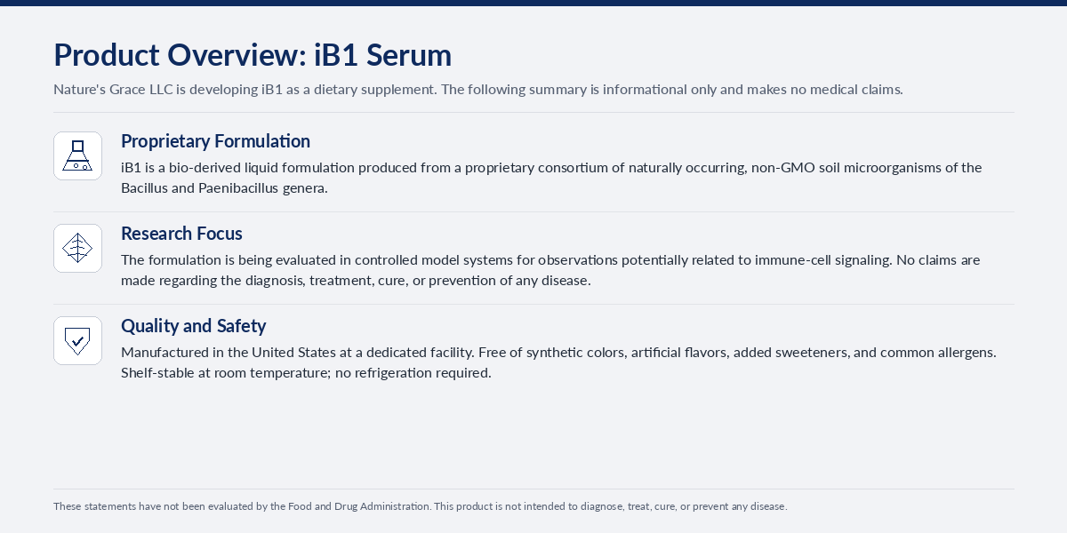 ib1_product_overview_v1